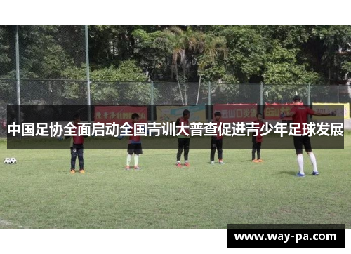 中国足协全面启动全国青训大普查促进青少年足球发展 中国足协全面启动全国青训大普查促进青少年足球发展
